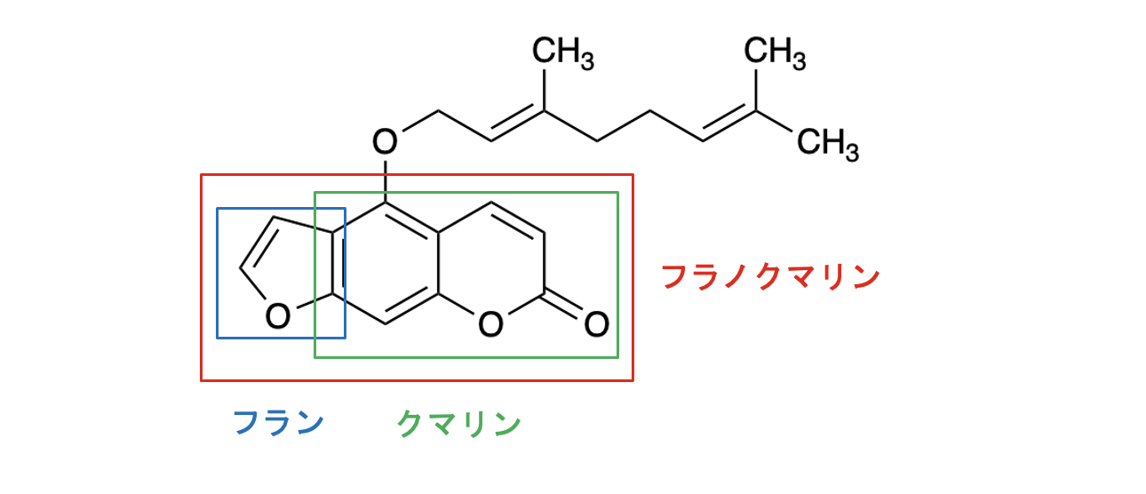解説画像